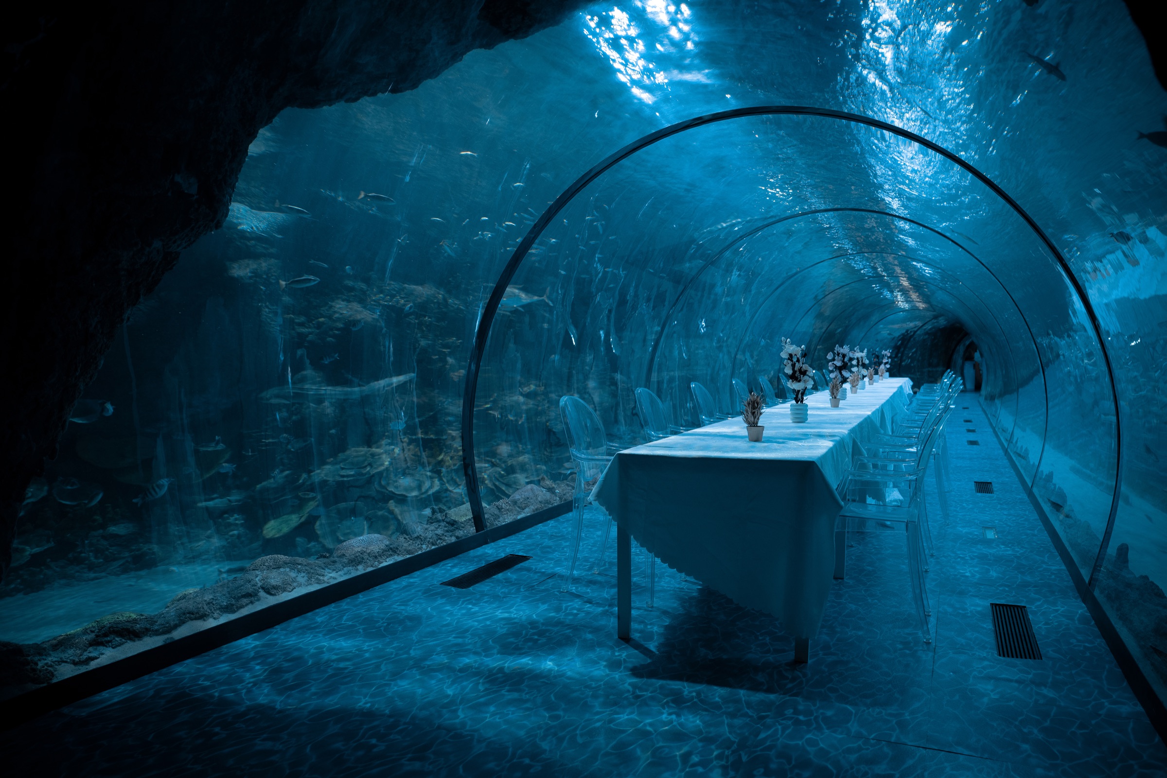 Underwater tunnel at The National Aquarium Abu Dhabi