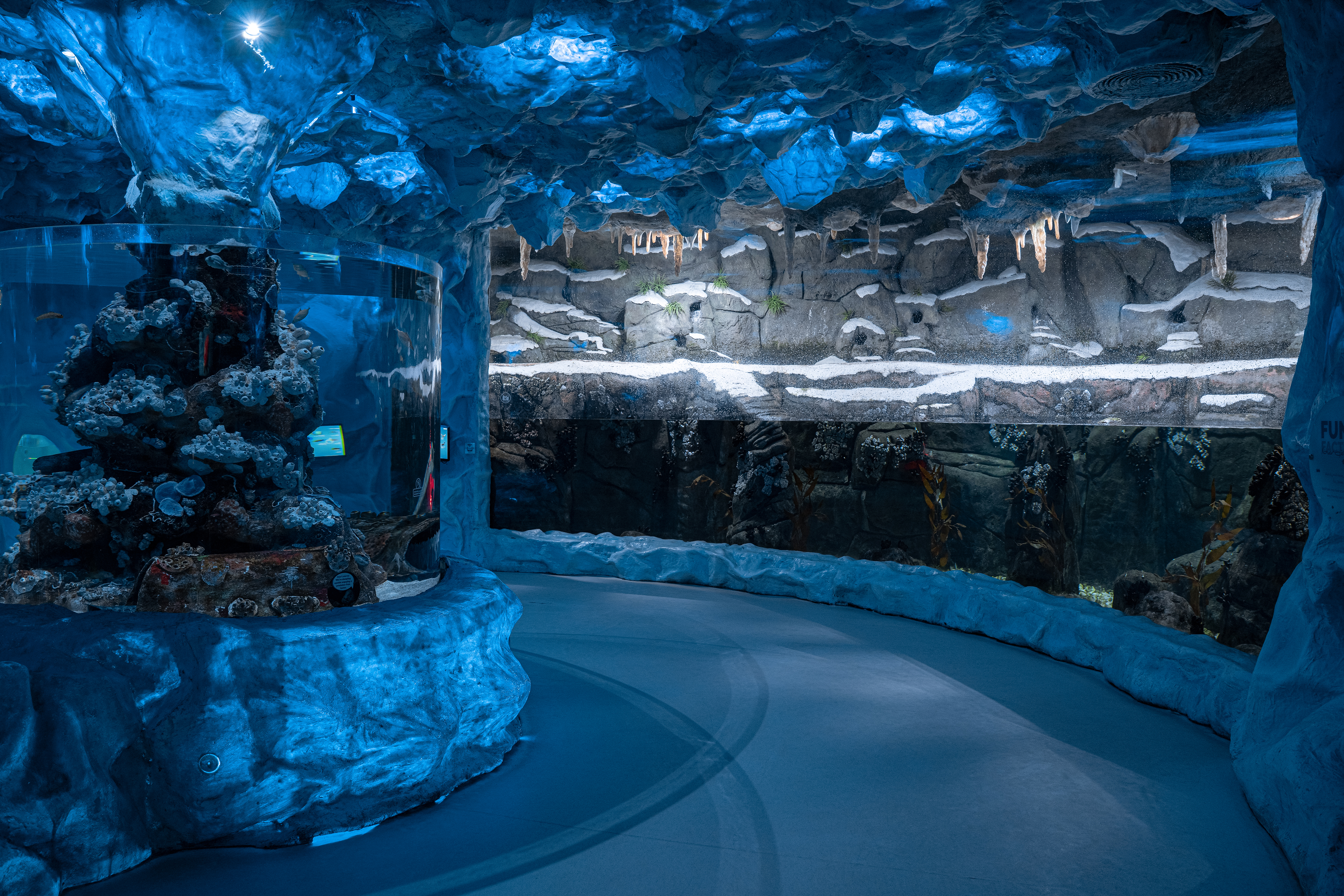 Blue-lit aquarium gallery
