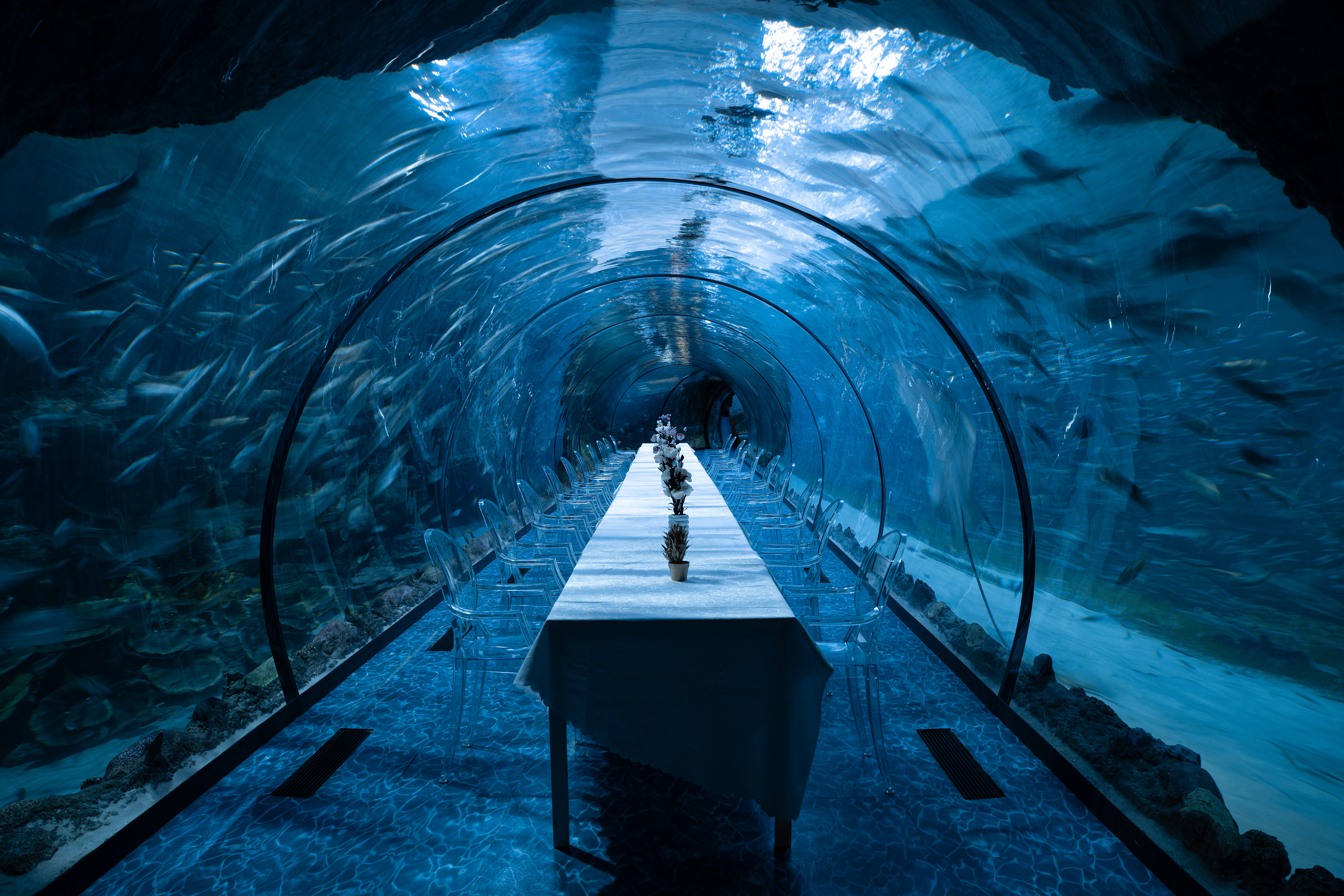 The National Aquarium of Abu Dhabi underwater event setup
