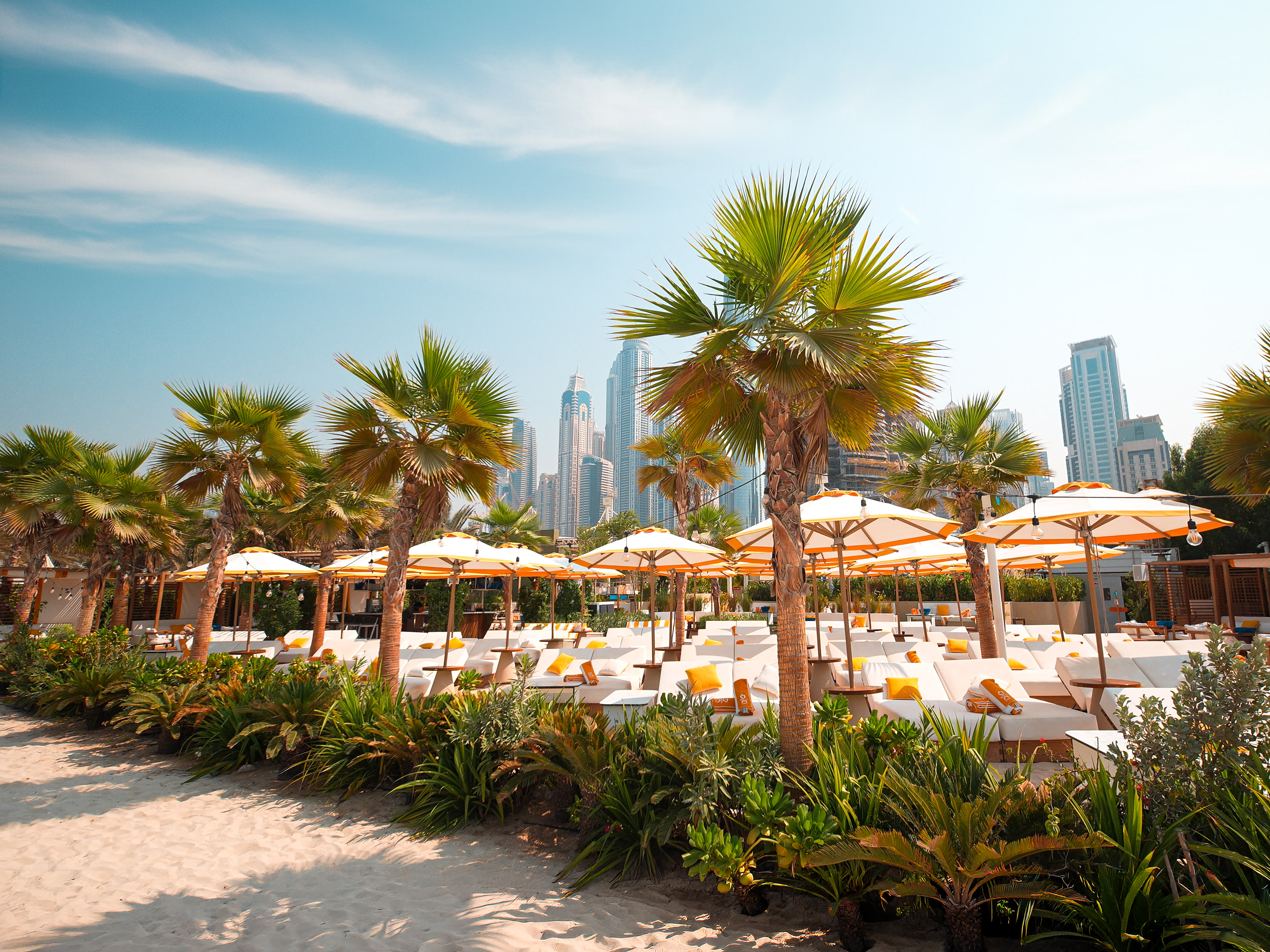 Palm-lined garden and lounge area at O Beach Dubai.