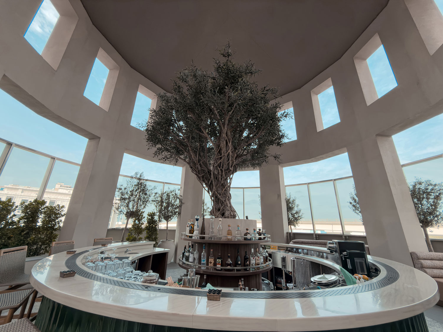 Olive tree and bar setting at Vera Versilia.