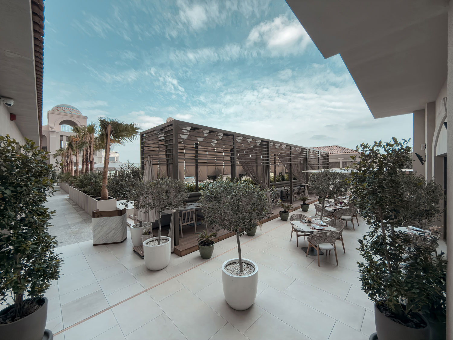 Vera Versilia outdoor terrace with tables and olive trees.